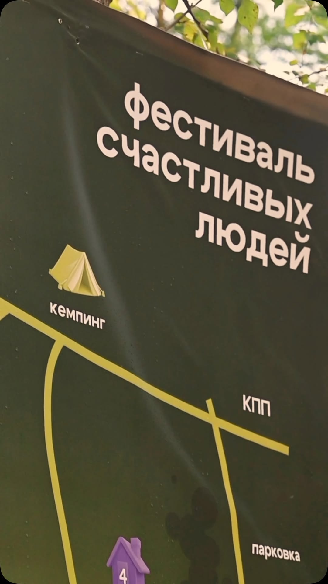 Фестивали